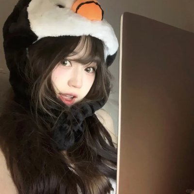 犬之力