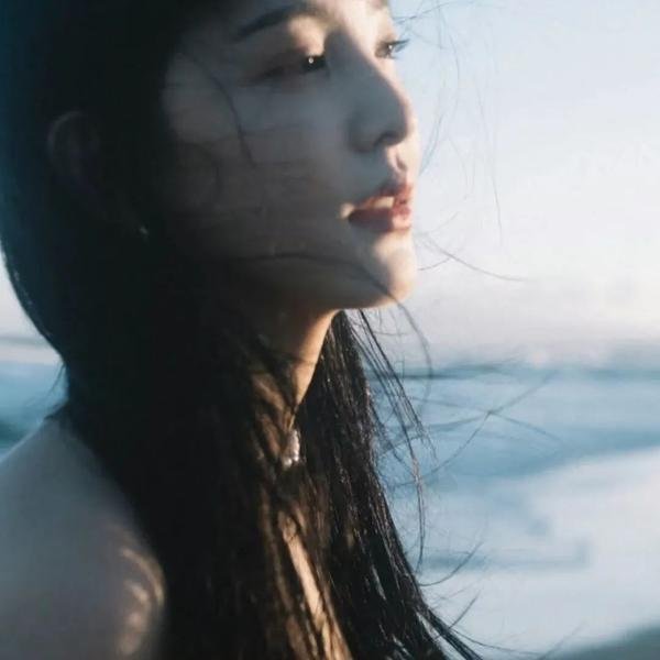 极地熊踪